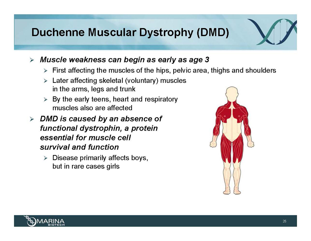 Muscular dystrophy. Duchenne muscular Dystrophy. DMD.