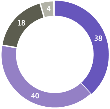 2008 external revenue