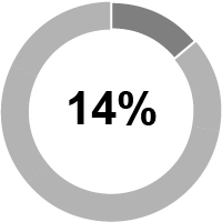 03_424206_piechart_compmix_neosalary.jpg