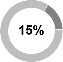 03_424206-1_piechart_ceoaicp.jpg