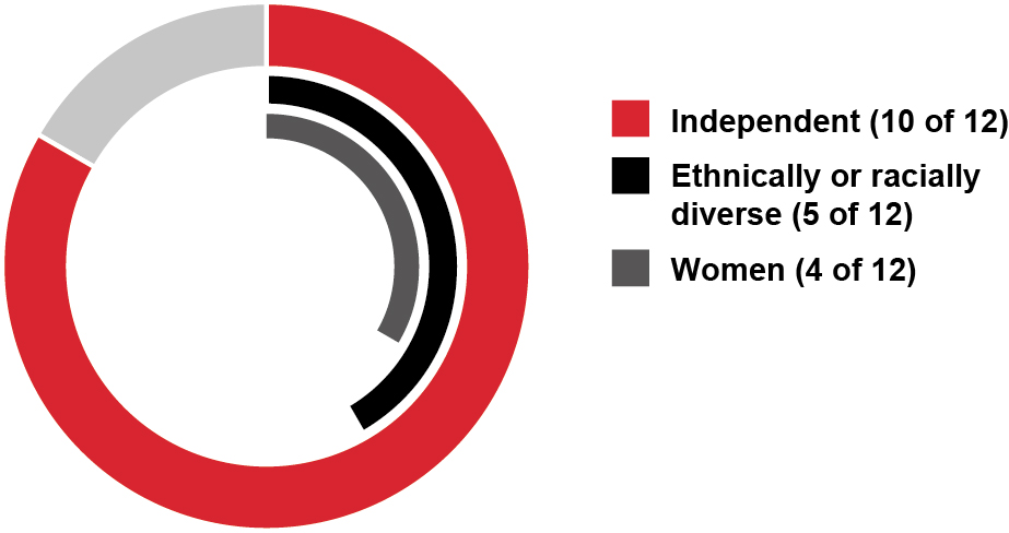 03_424206-1_piechart_diversityofnominee.jpg