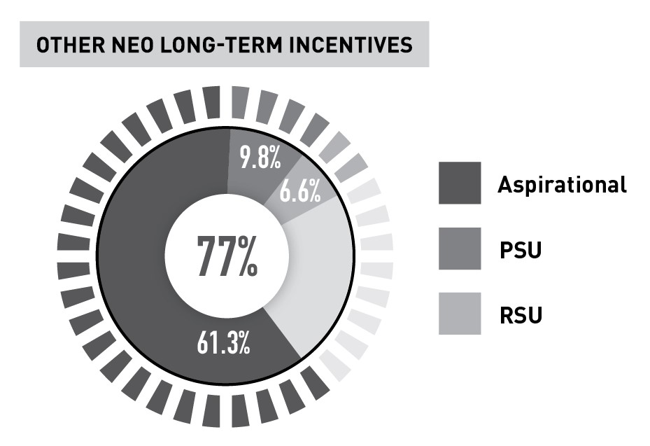 Other NEO Long-Term Incentive (FINAL) 2023.jpg