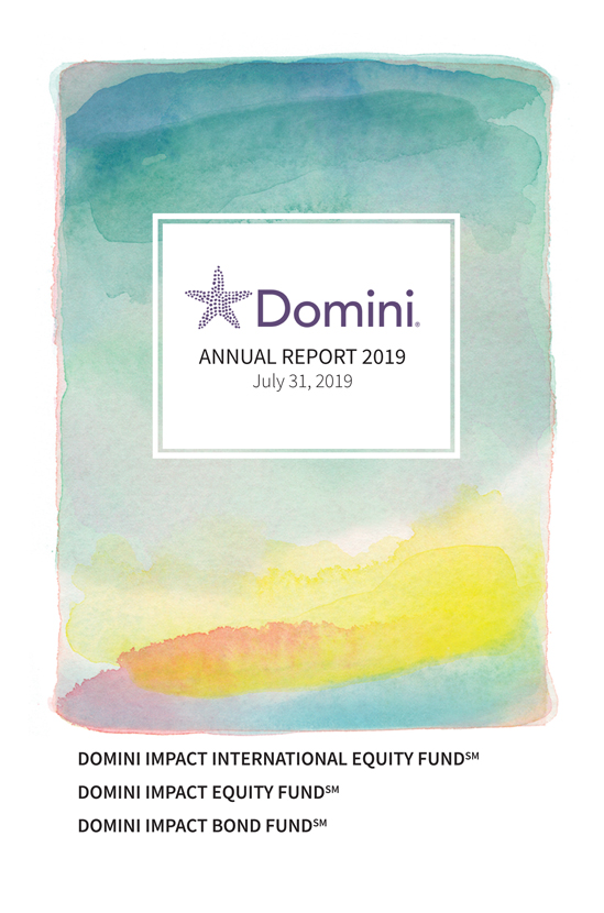 DOMINI IMPACT INVESTMENT