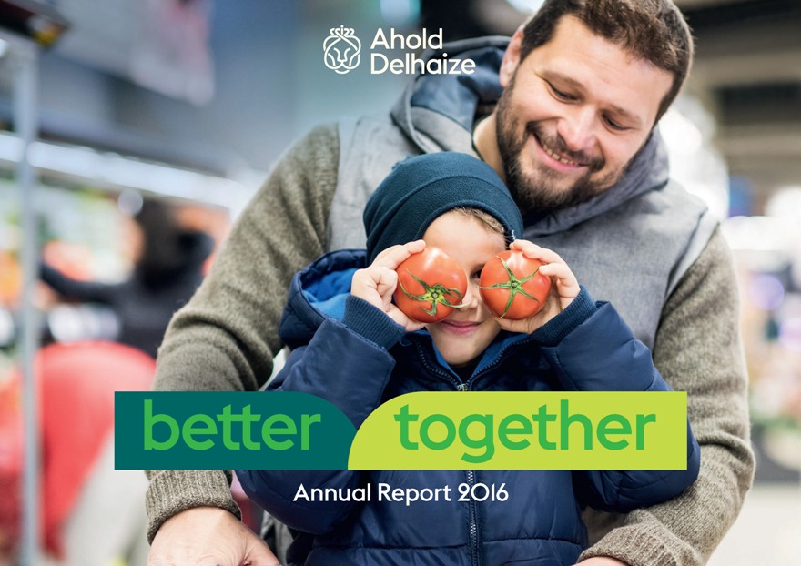 Annual Report of 2016