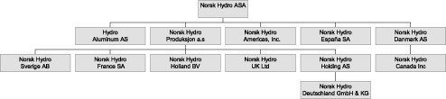 Report Of Norsk Hydro