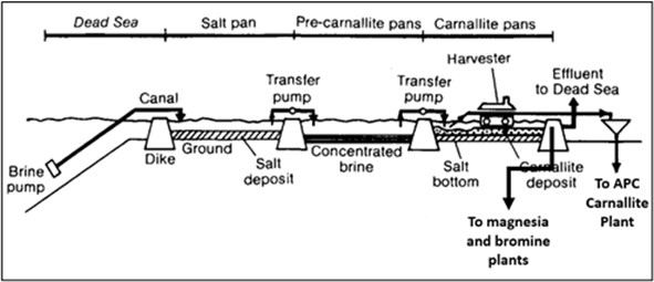 image_22j.jpg