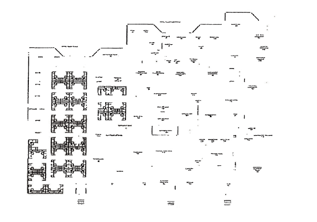 (SITE PLAN)