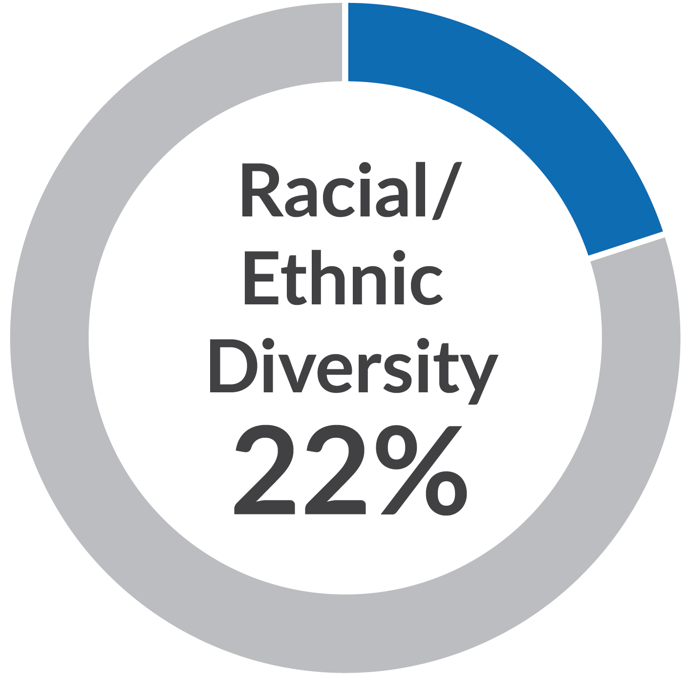 piechart_raciala.jpg